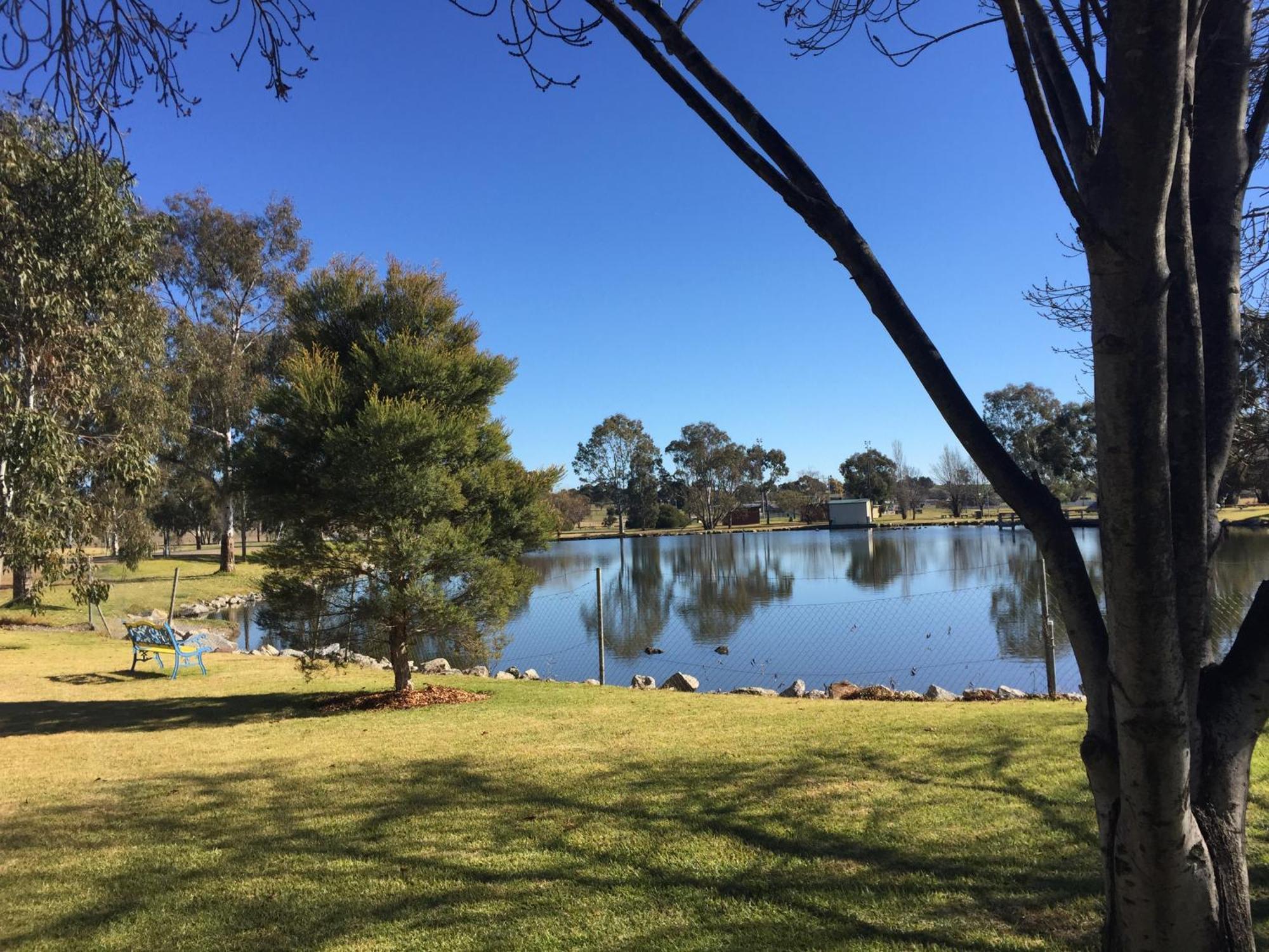 Junee Tourist Park Esterno foto