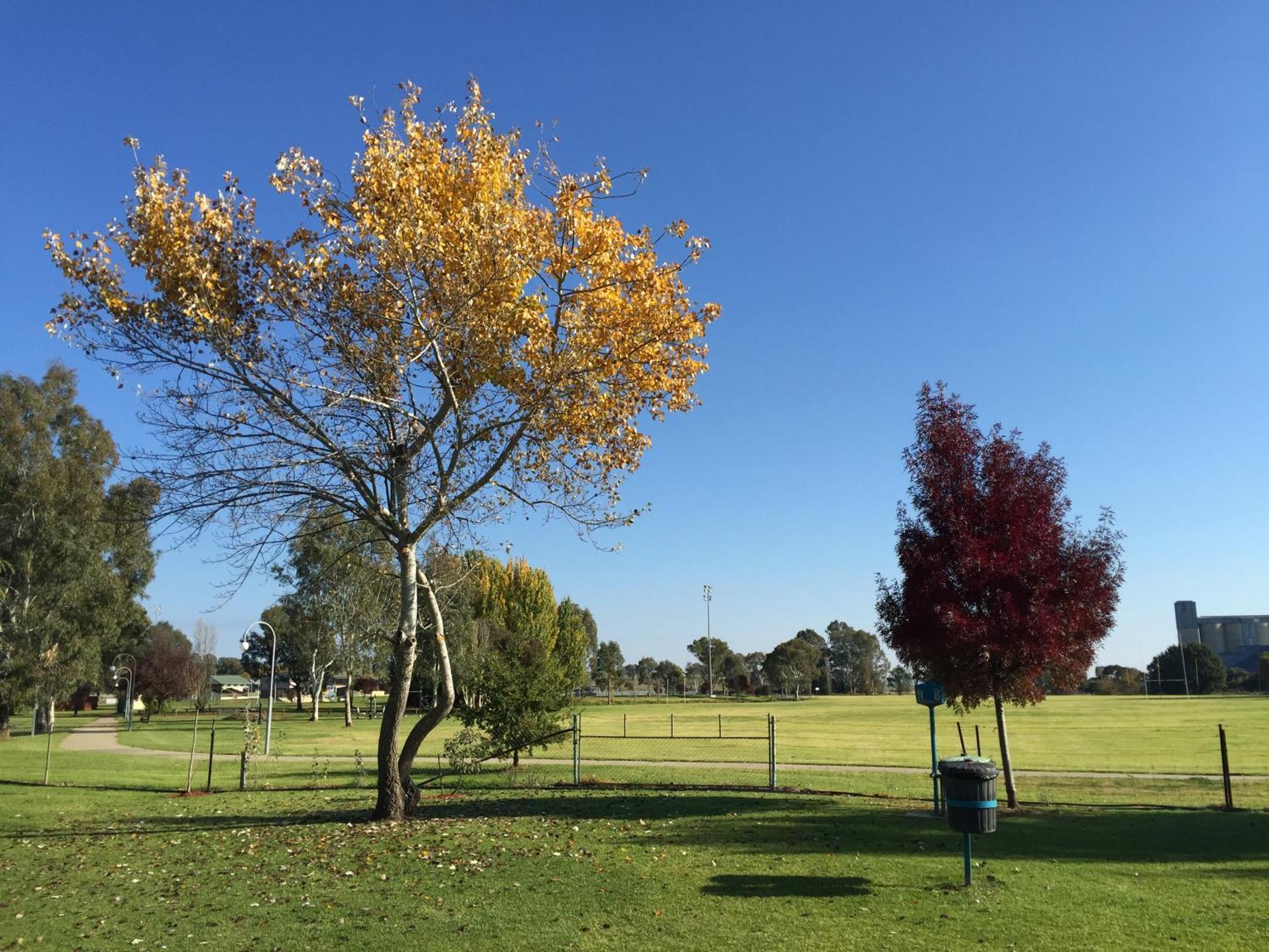 Junee Tourist Park Esterno foto