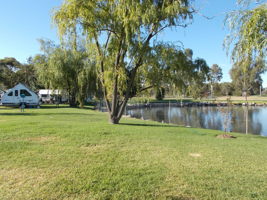 Junee Tourist Park Esterno foto