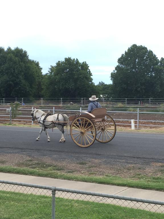 Junee Tourist Park Esterno foto