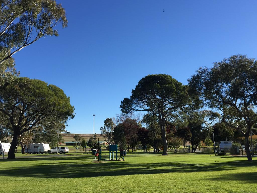 Junee Tourist Park Esterno foto